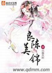 良陈美锦txt