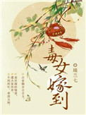毒女当嫁全集免费